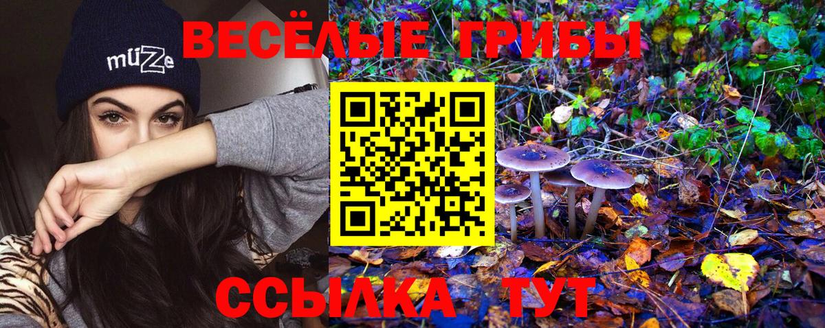 Псилоцибиновые грибы Cubensis  Вход с VPN  Миллерово 